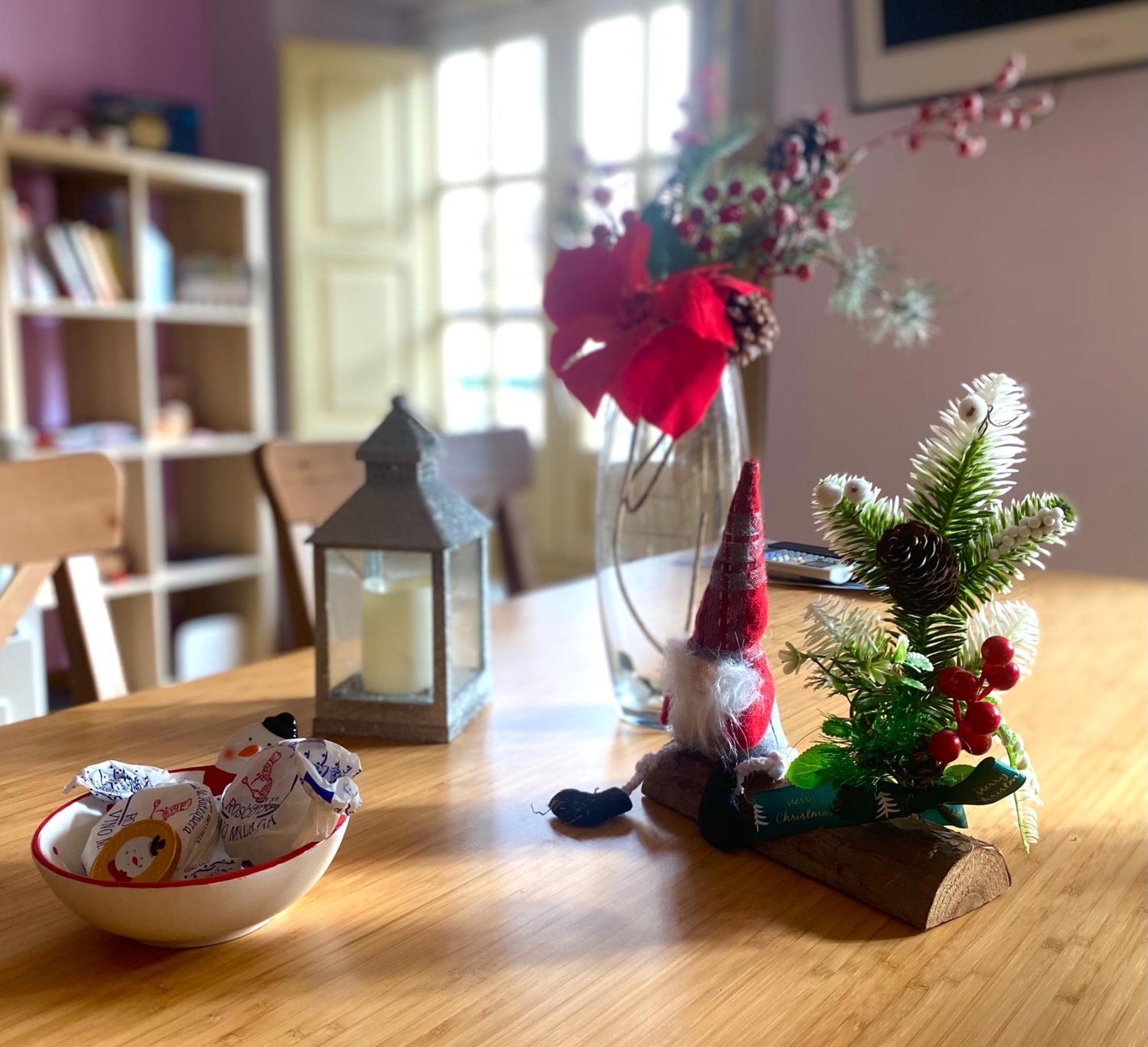 Apartment Natura