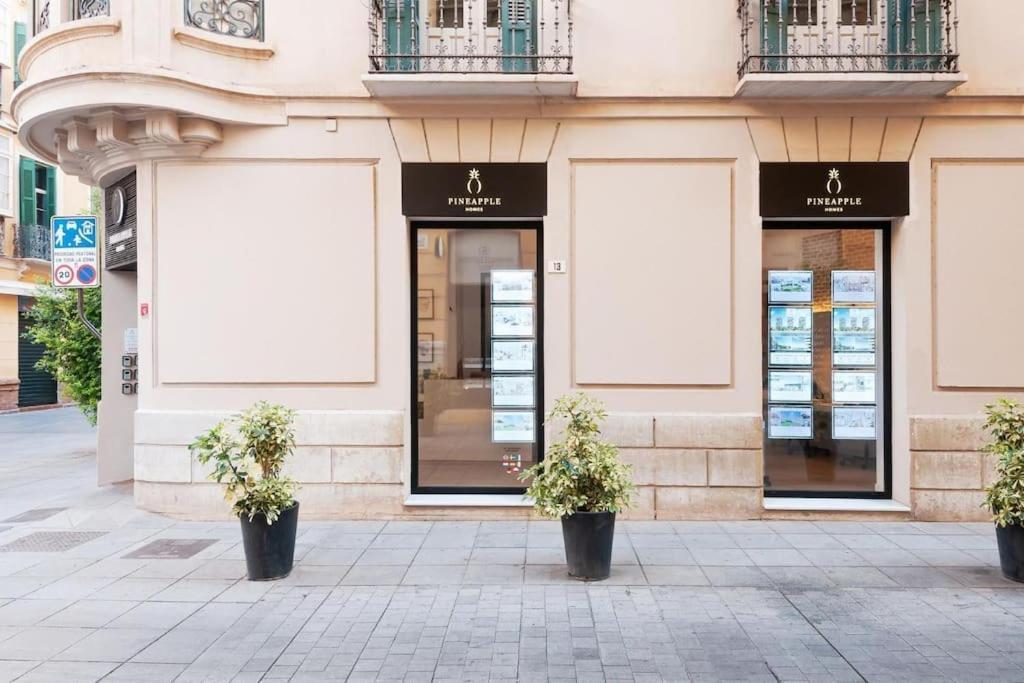 Apartment Pineapple Trinidad 20 Malaga
