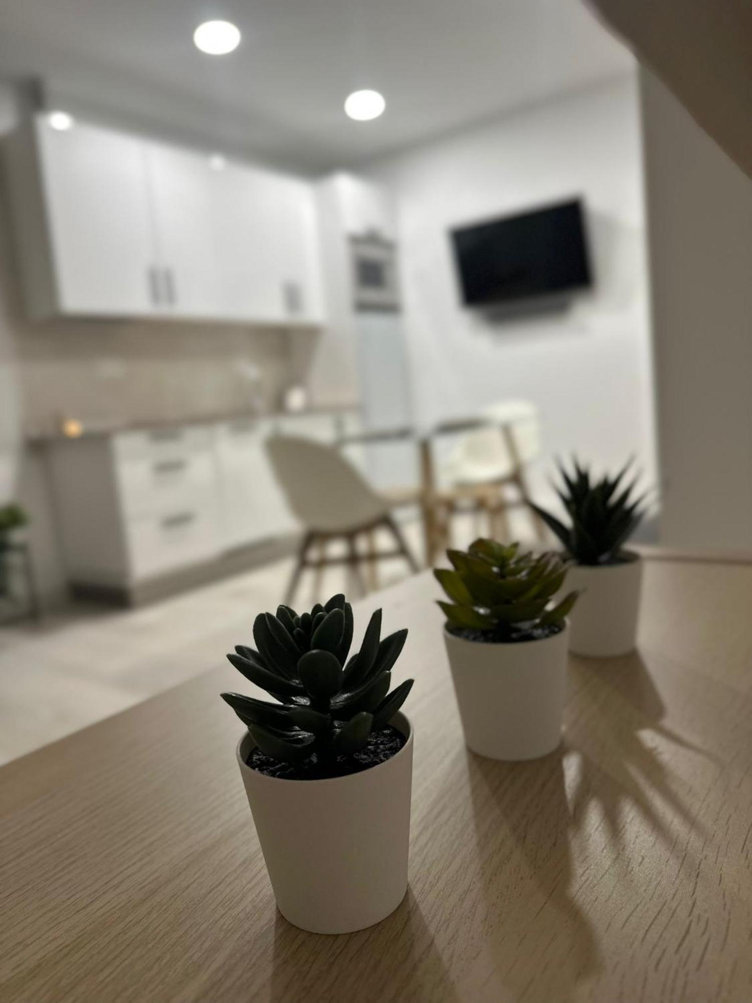 Loft Coqueto Cerca De La Playa Apartment Malaga