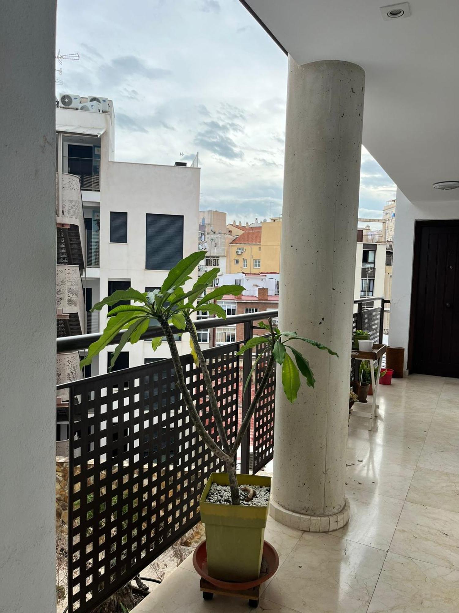 Apartment El Torcal Luxury With Free Parking