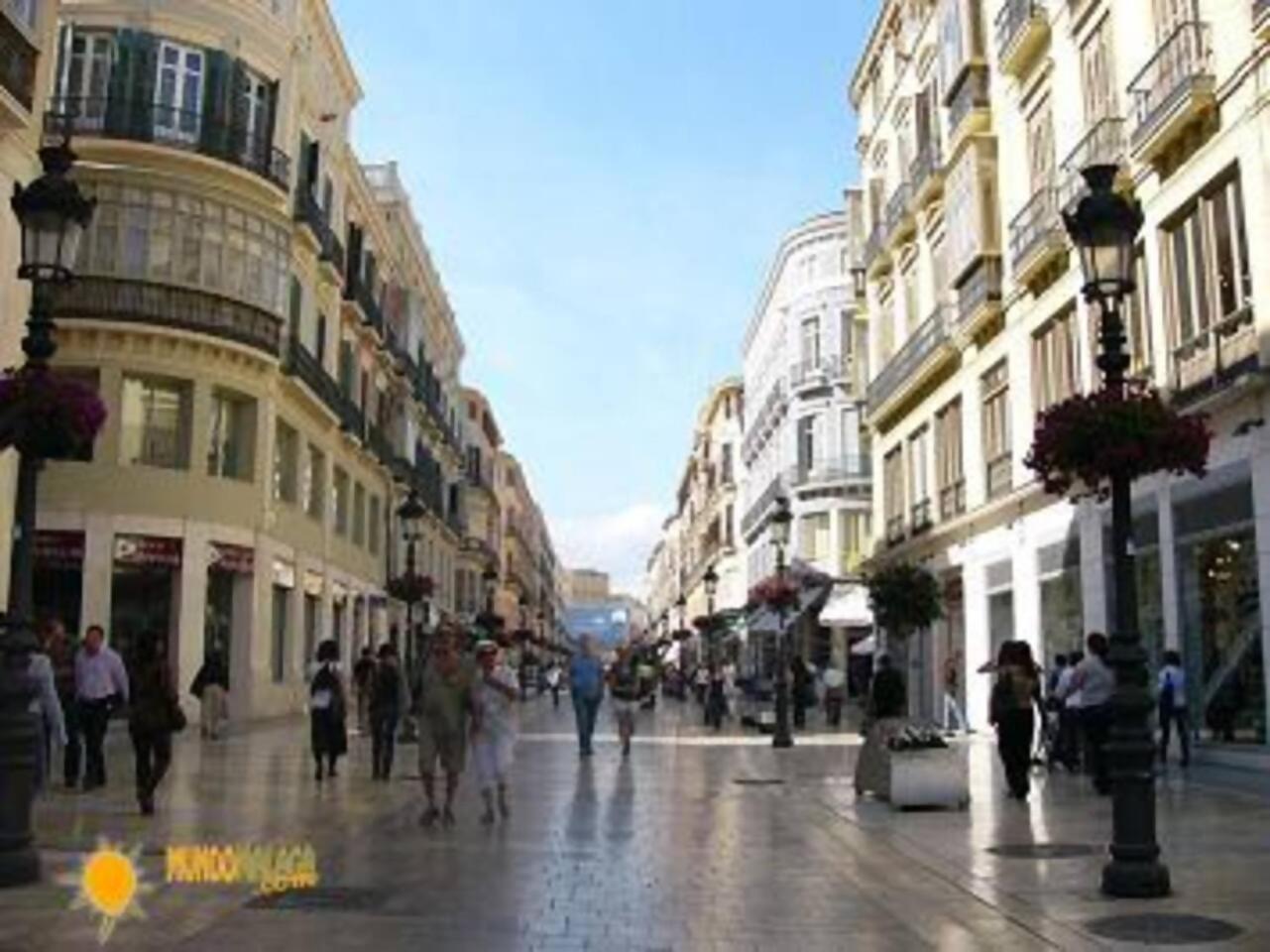 Centro De Fernan Gonzalez Apartment Malaga