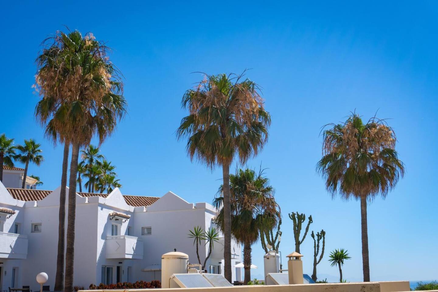 Modern Beachside Flat In Wyndham Costa Del Sol Ferienhaus *