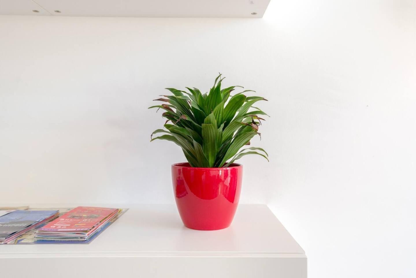 Apartment Quiet, Bright And