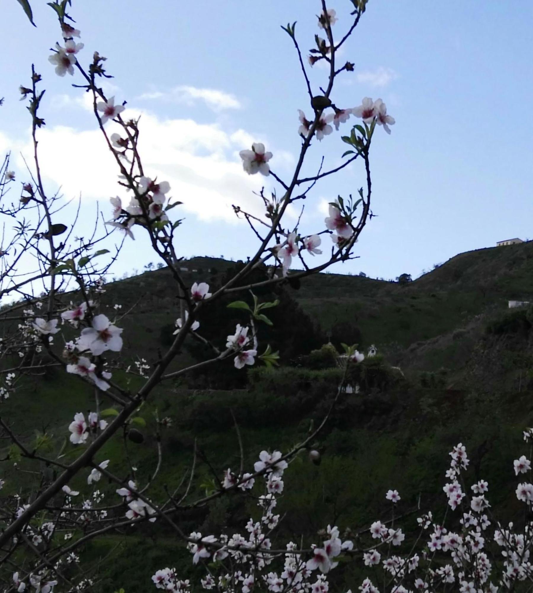 Holiday home Pinar El Almendra *
