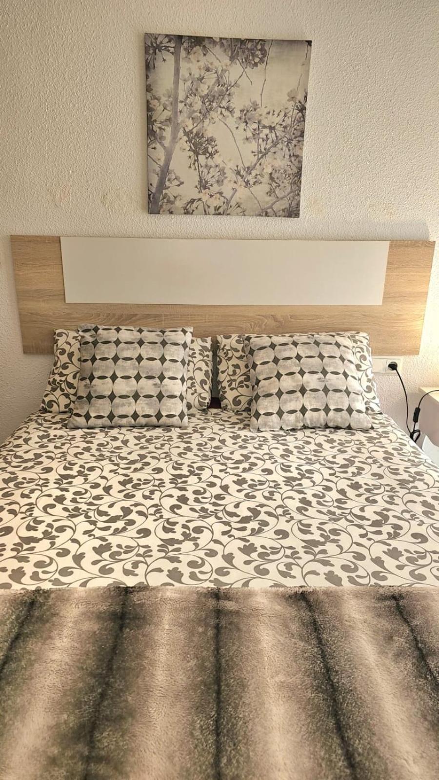 Ideal One Bedroom Center Apartment *