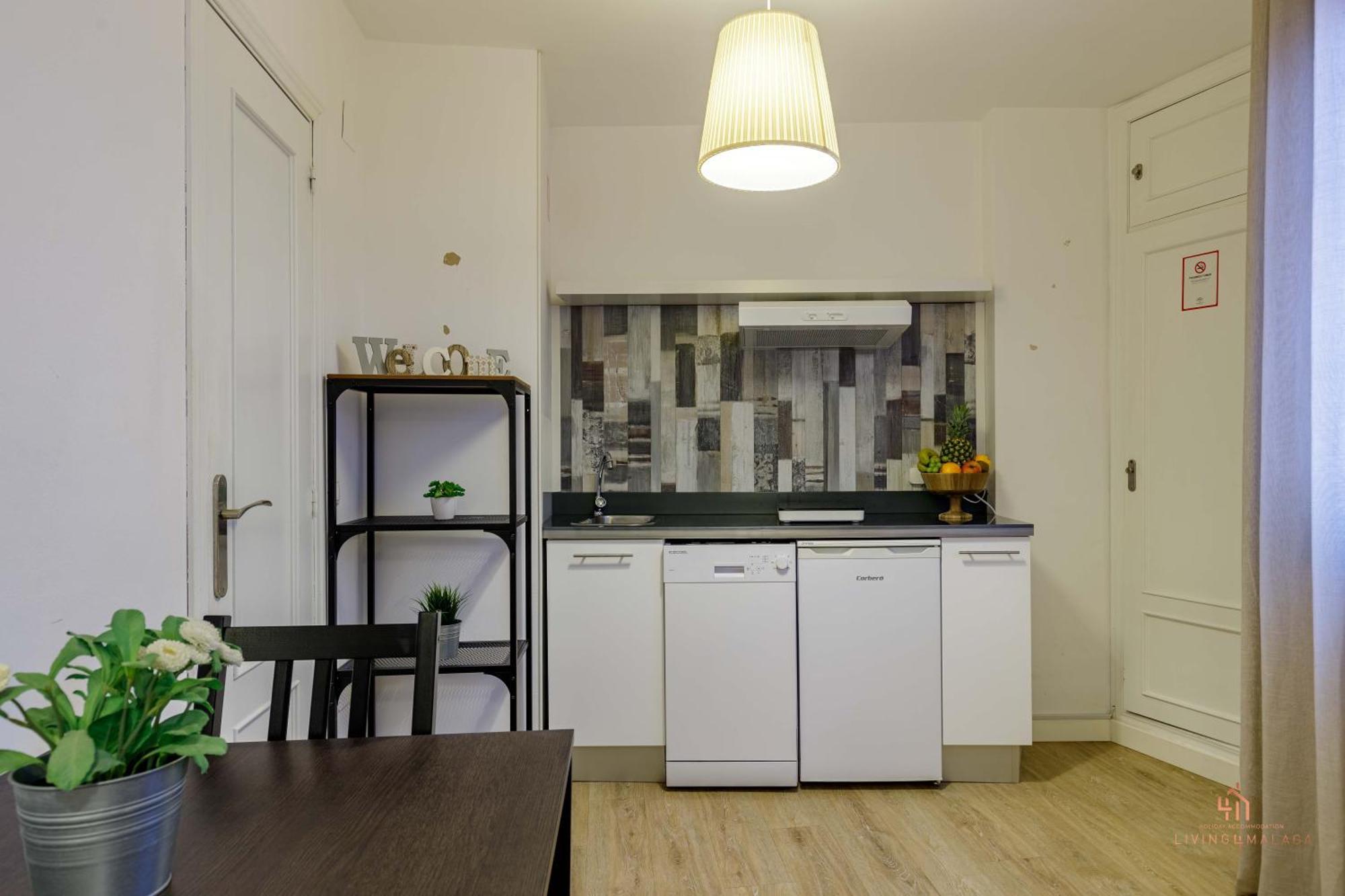 Living4malaga Serenity Appartement *