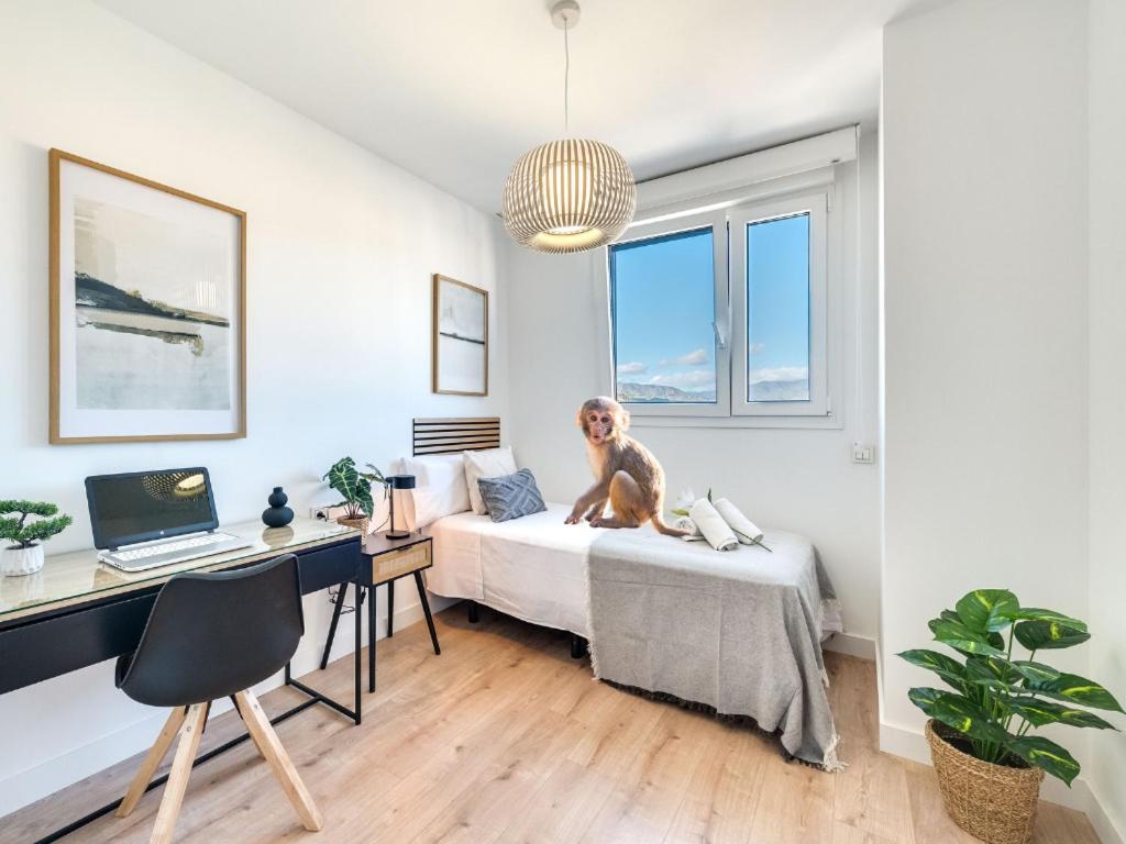 Apartment Xpce Urban 12 Skyline - Parking Free Malaga