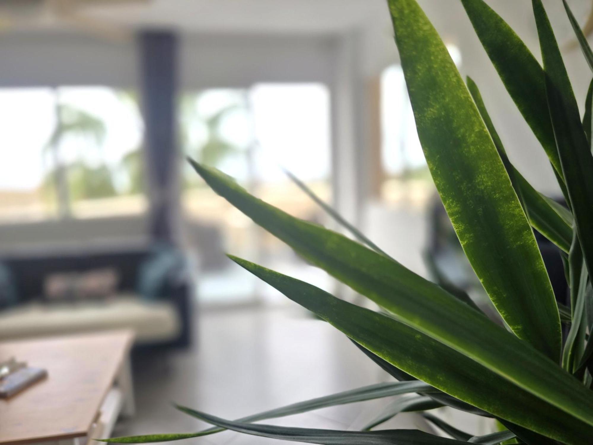 Appartement Sea View Málaga