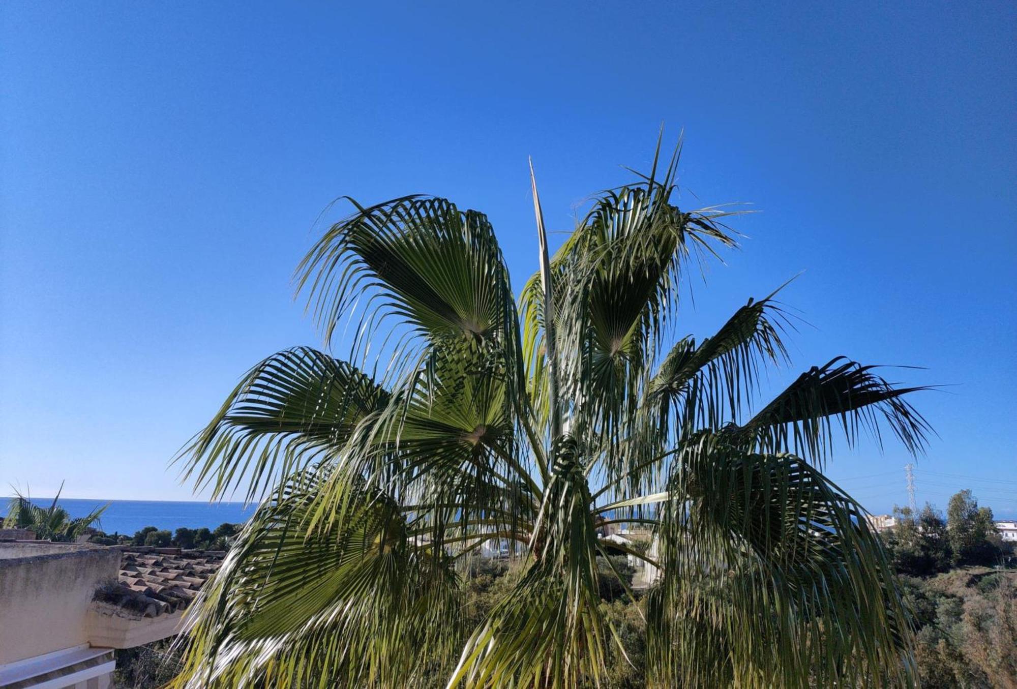 Appartement Sea View *