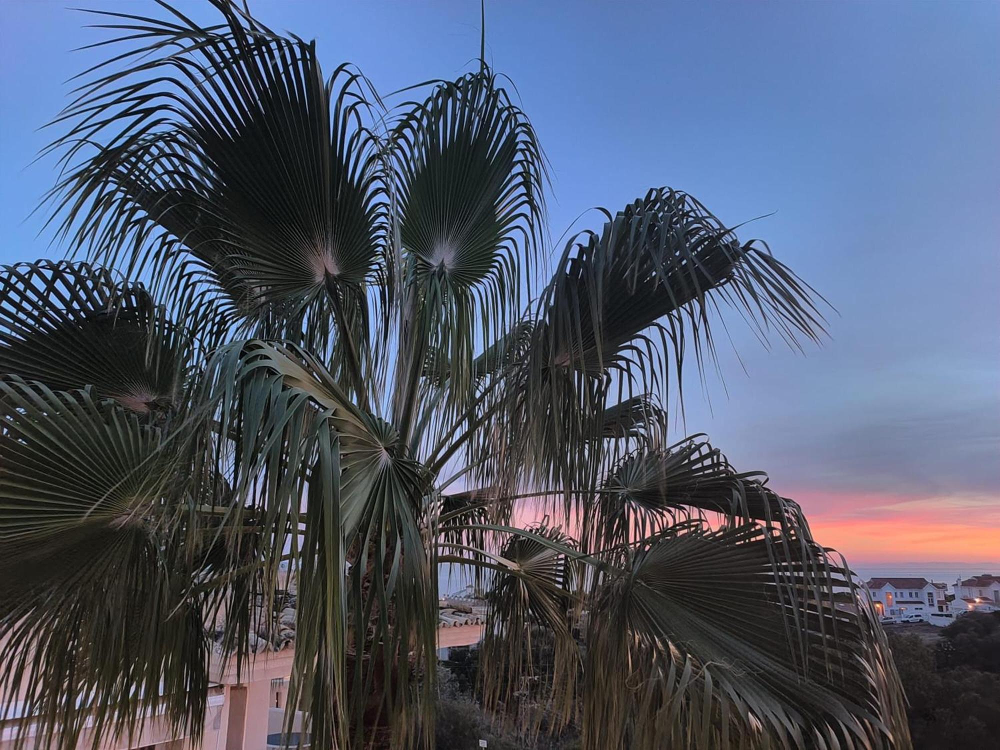 Sea View Appartement