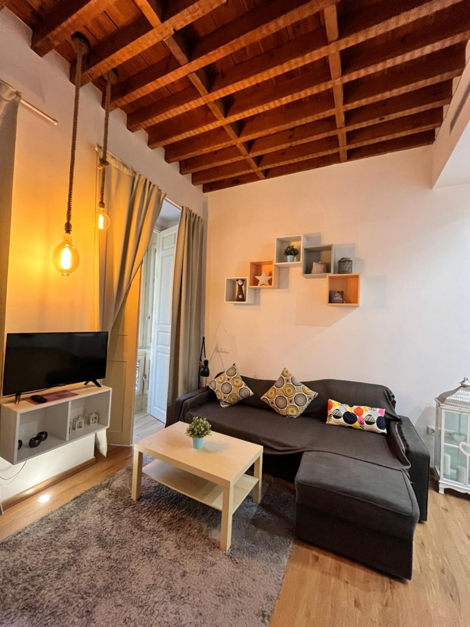 Apartment Larios Deluxe *