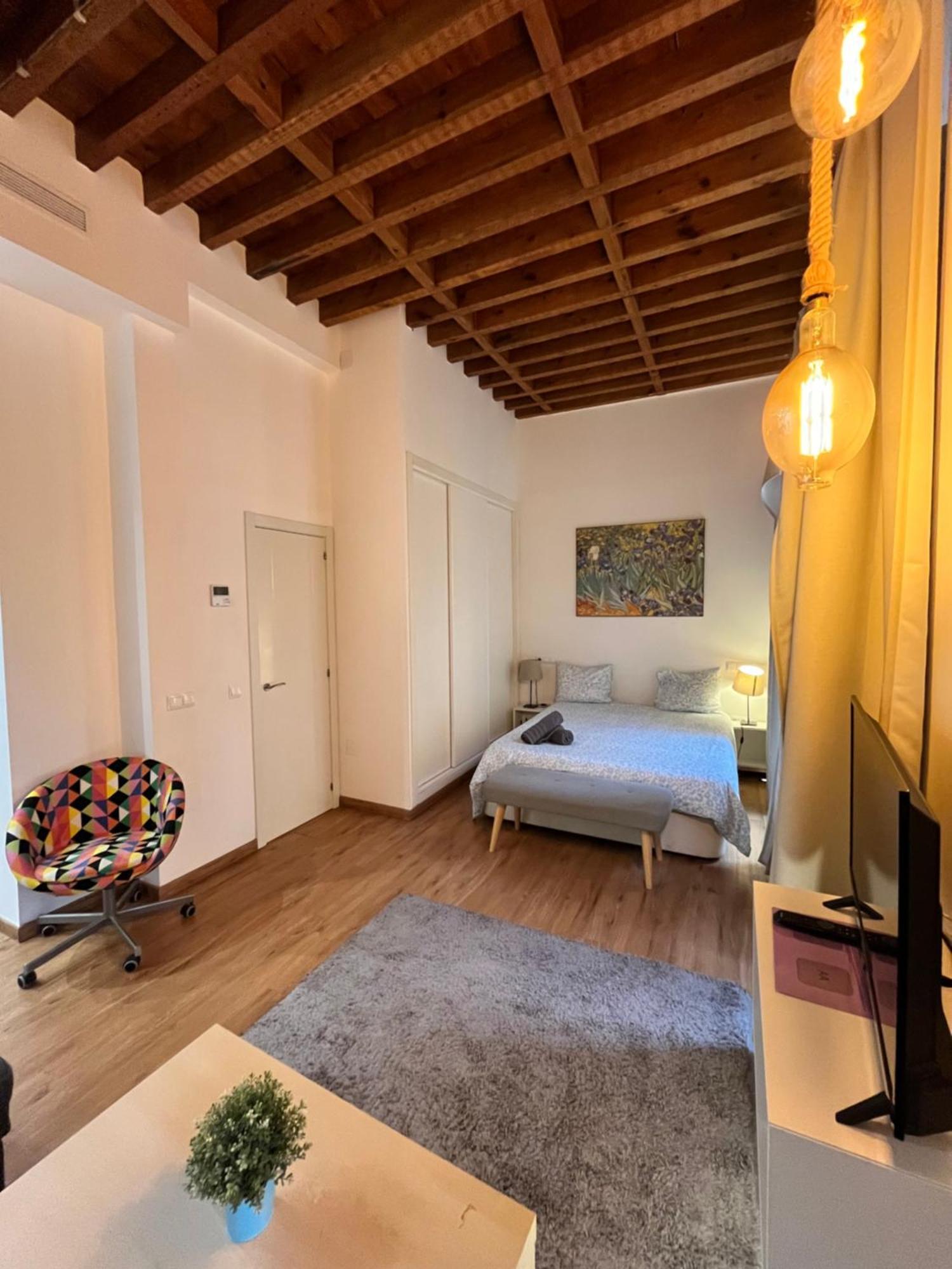 Larios Deluxe Apartment *