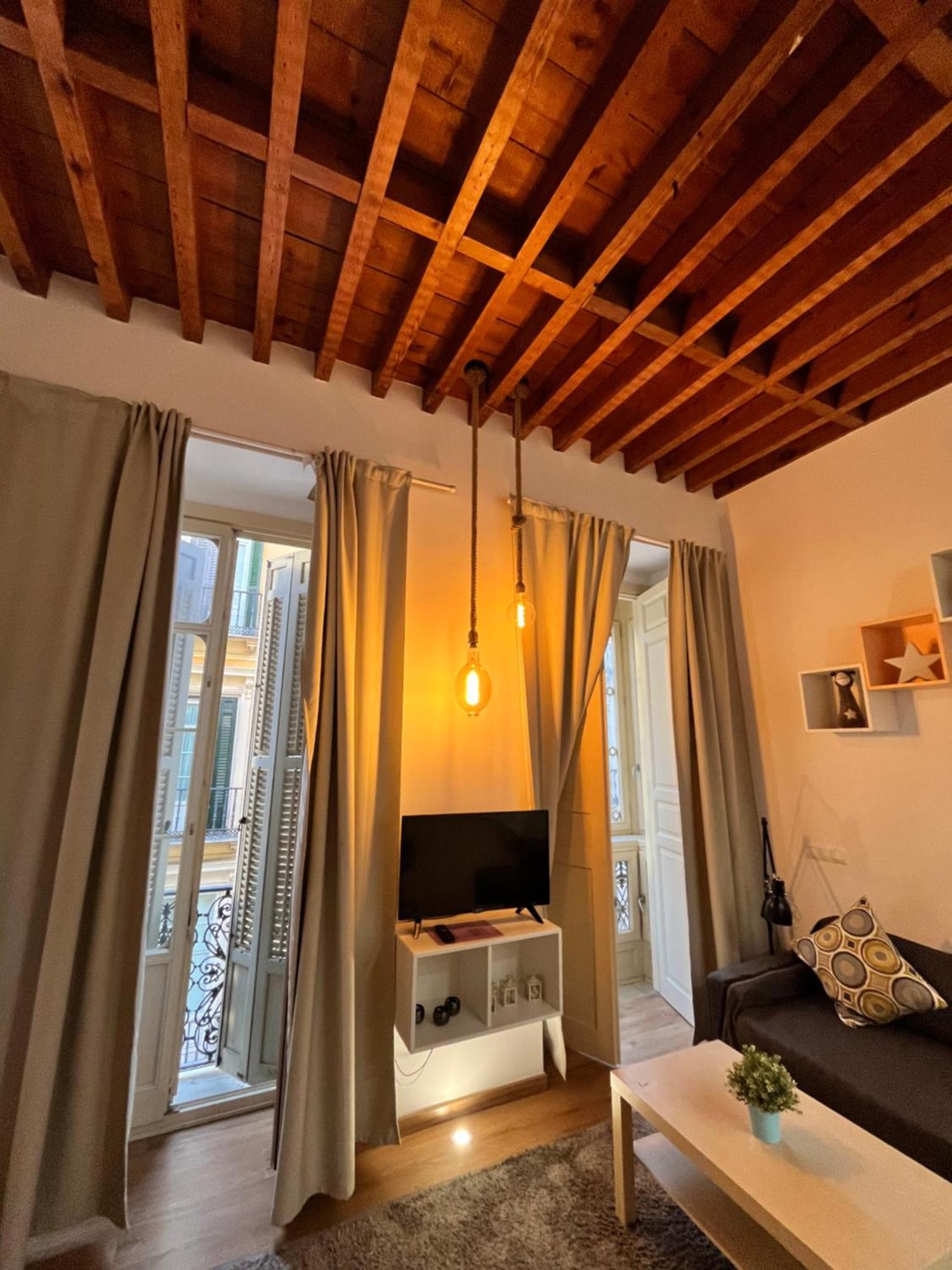Apartment Larios Deluxe *