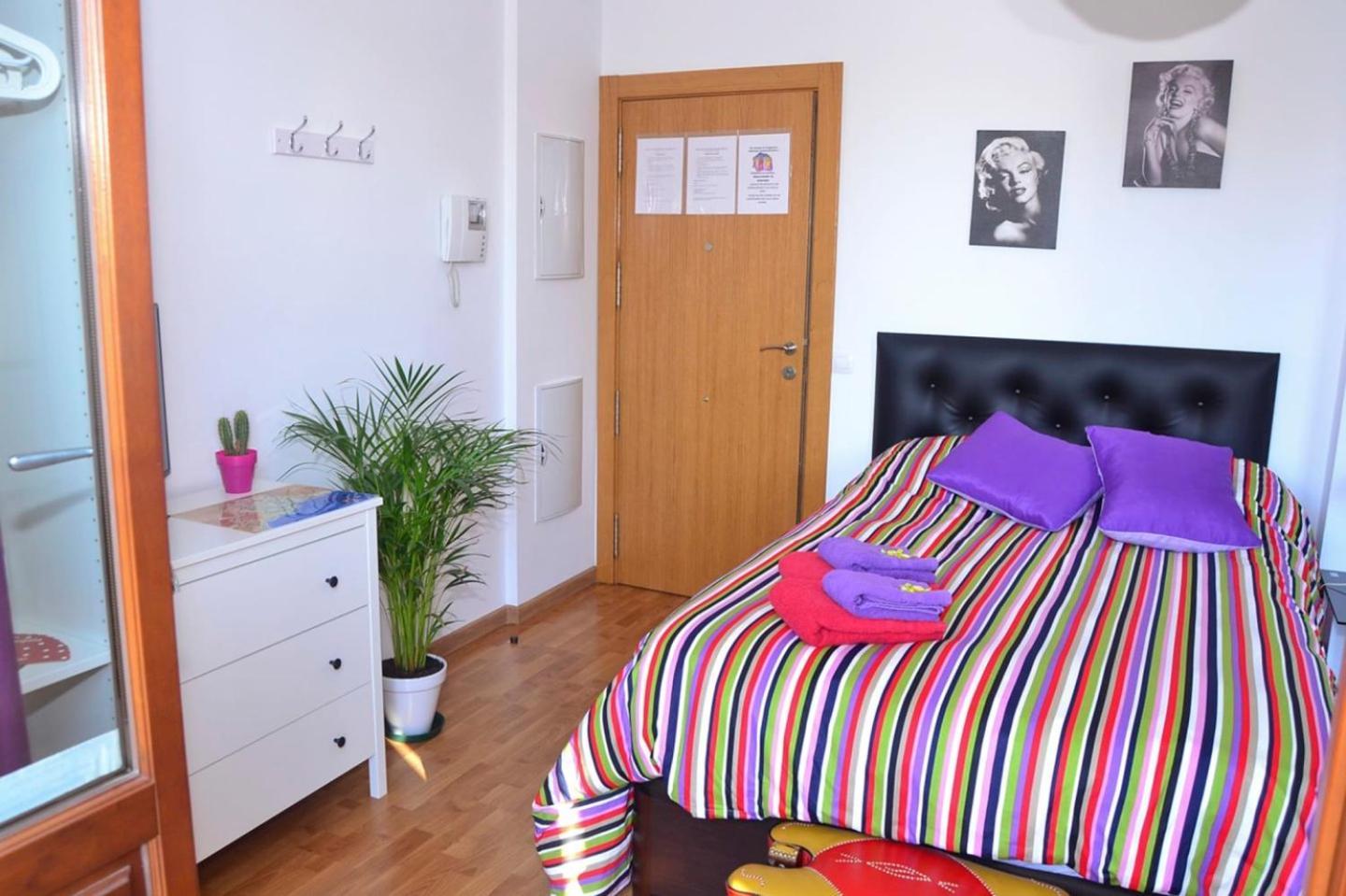 Apartment Ole *
