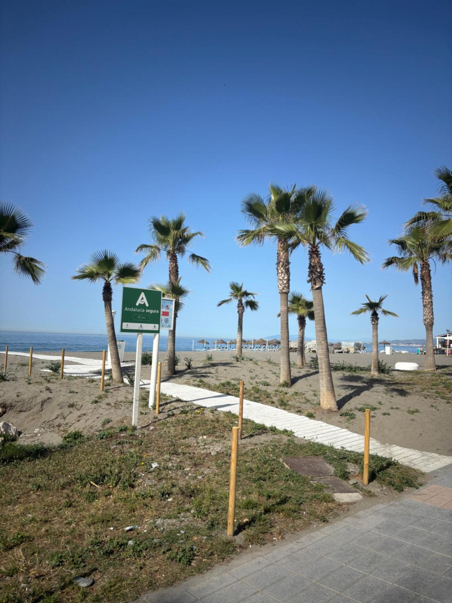 Torcasol Malaga