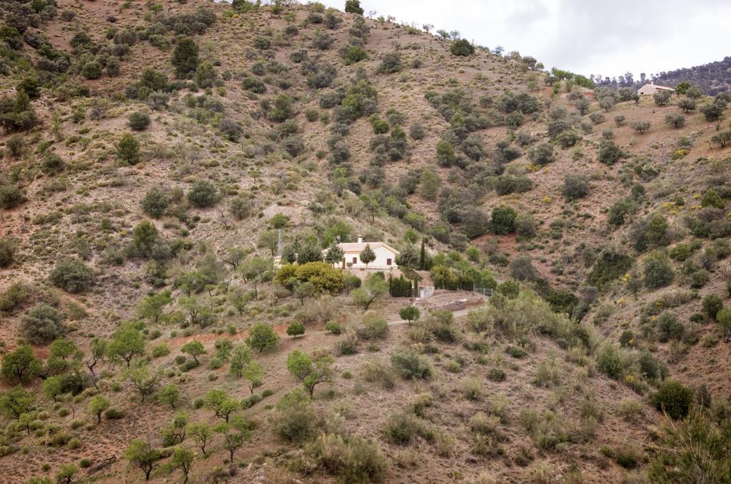 Rural Montes Malaga: Pedregales Holiday home