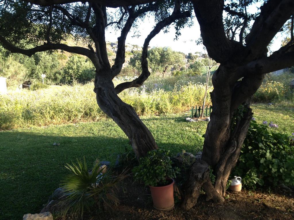 Holiday home Carpe Diem De *