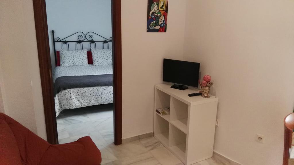 Fan Flat Rosaleda *