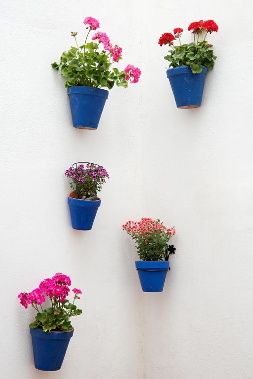 Apartment Urbanchic Carreteria Malaga
