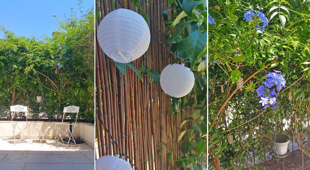 Bed & Breakfast La Casa Azul + 2*