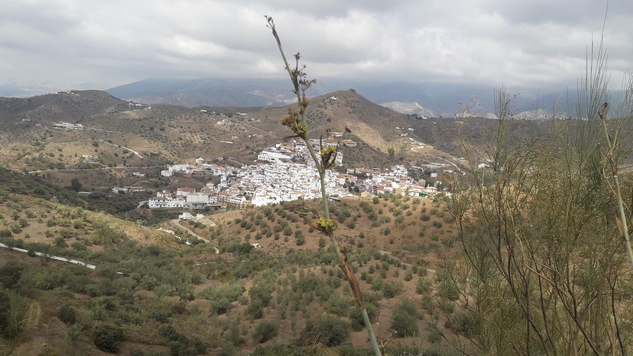 Yasleni