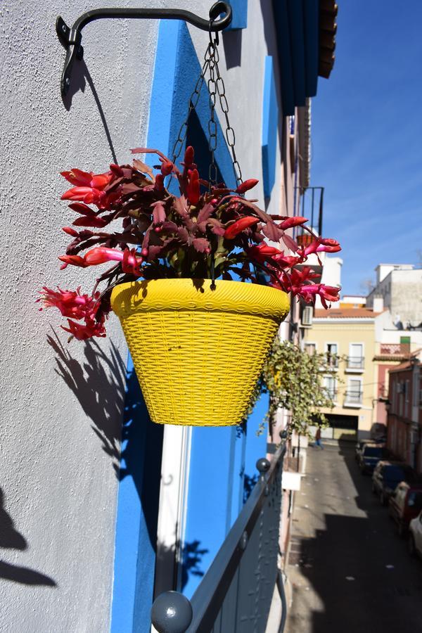 Casa Al Sur * Málaga