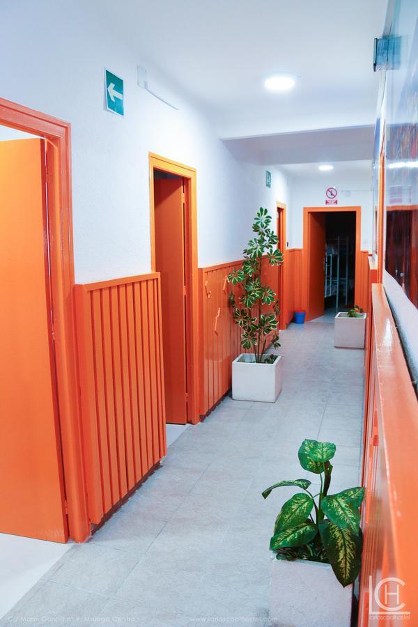 Larios Cool Hostel