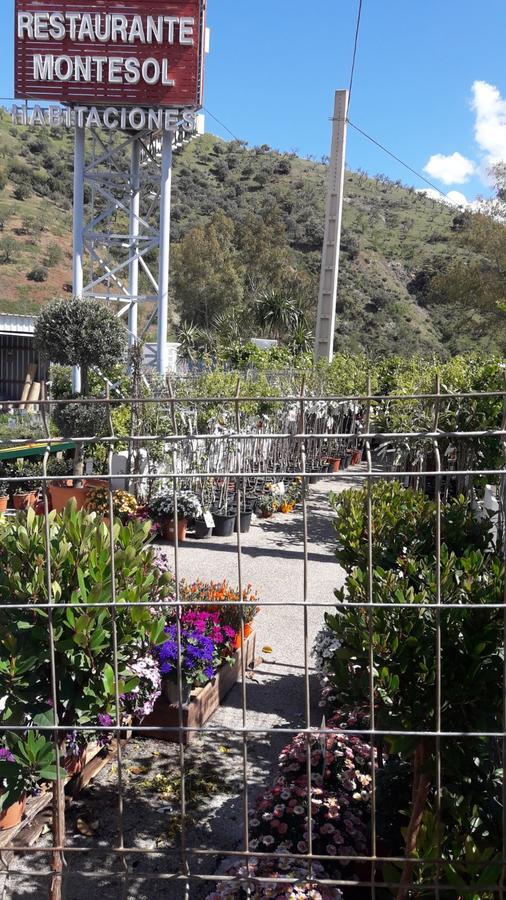 Nuevo Montesol Guest house