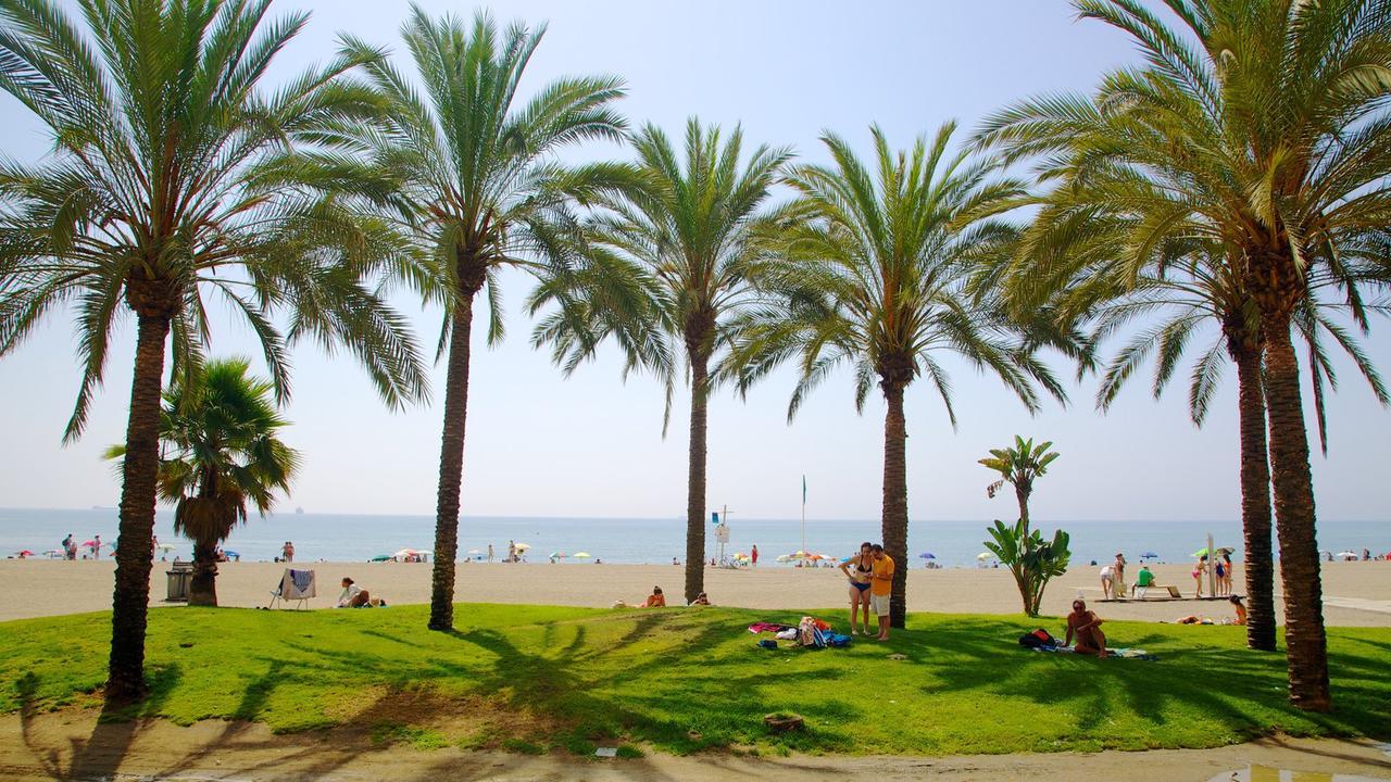 Iloftmalaga Reding Apartment