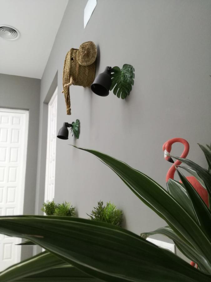 The Urban Jungle Hostel