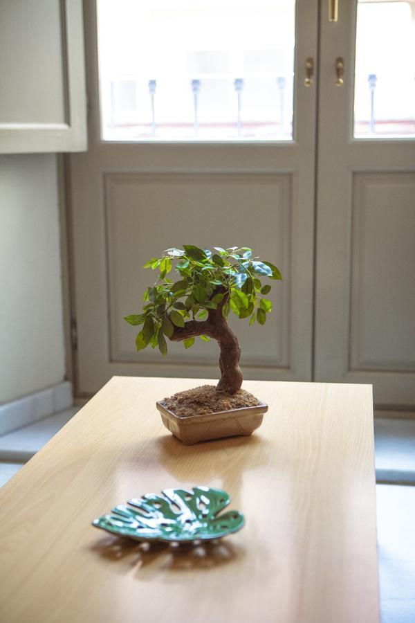 Apartment Livemalaga Granados Malaga