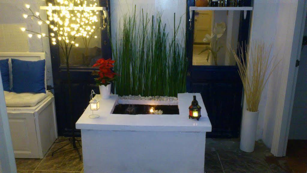 Hostel The Lights Garden Malaga