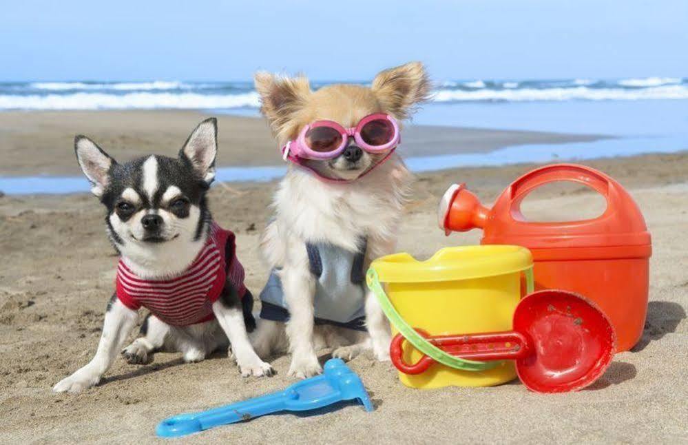 Enjoy Centro Y Playa Victoria * Malaga