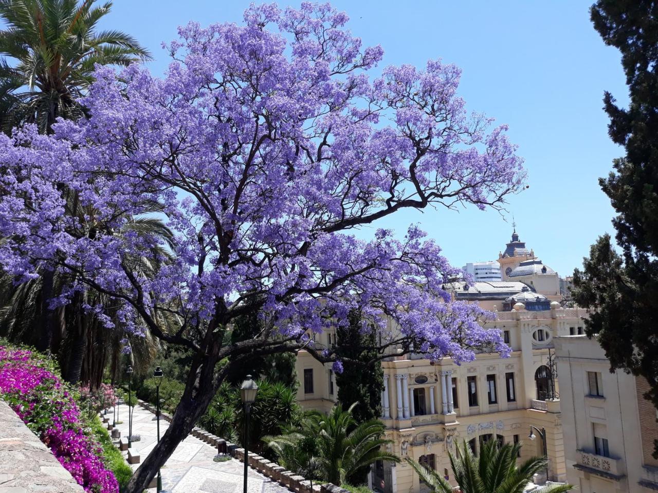 Apartment & Away In The Heart Of Historical Town Of *