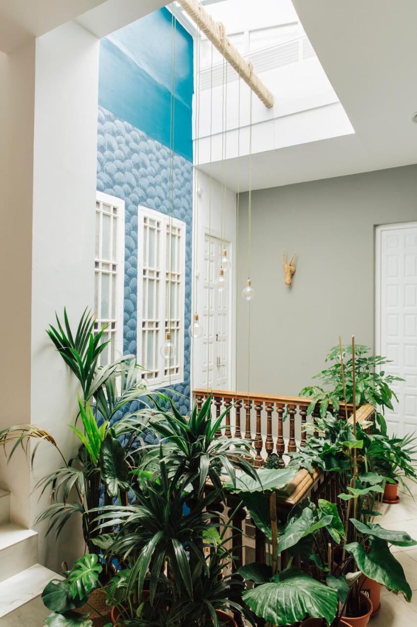 The Urban Jungle Hostel