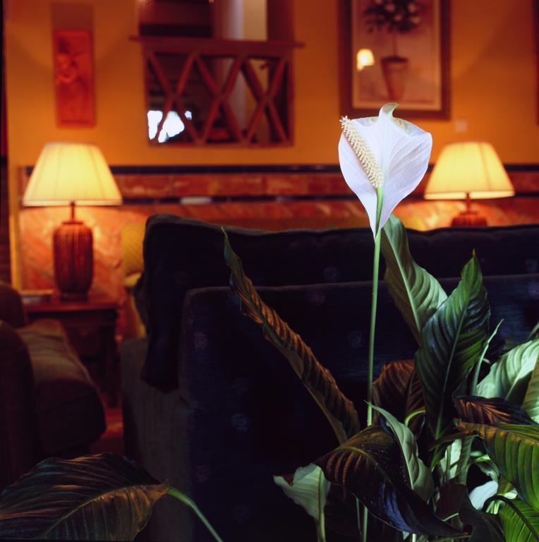 Cortijo La Reina Country house Malaga