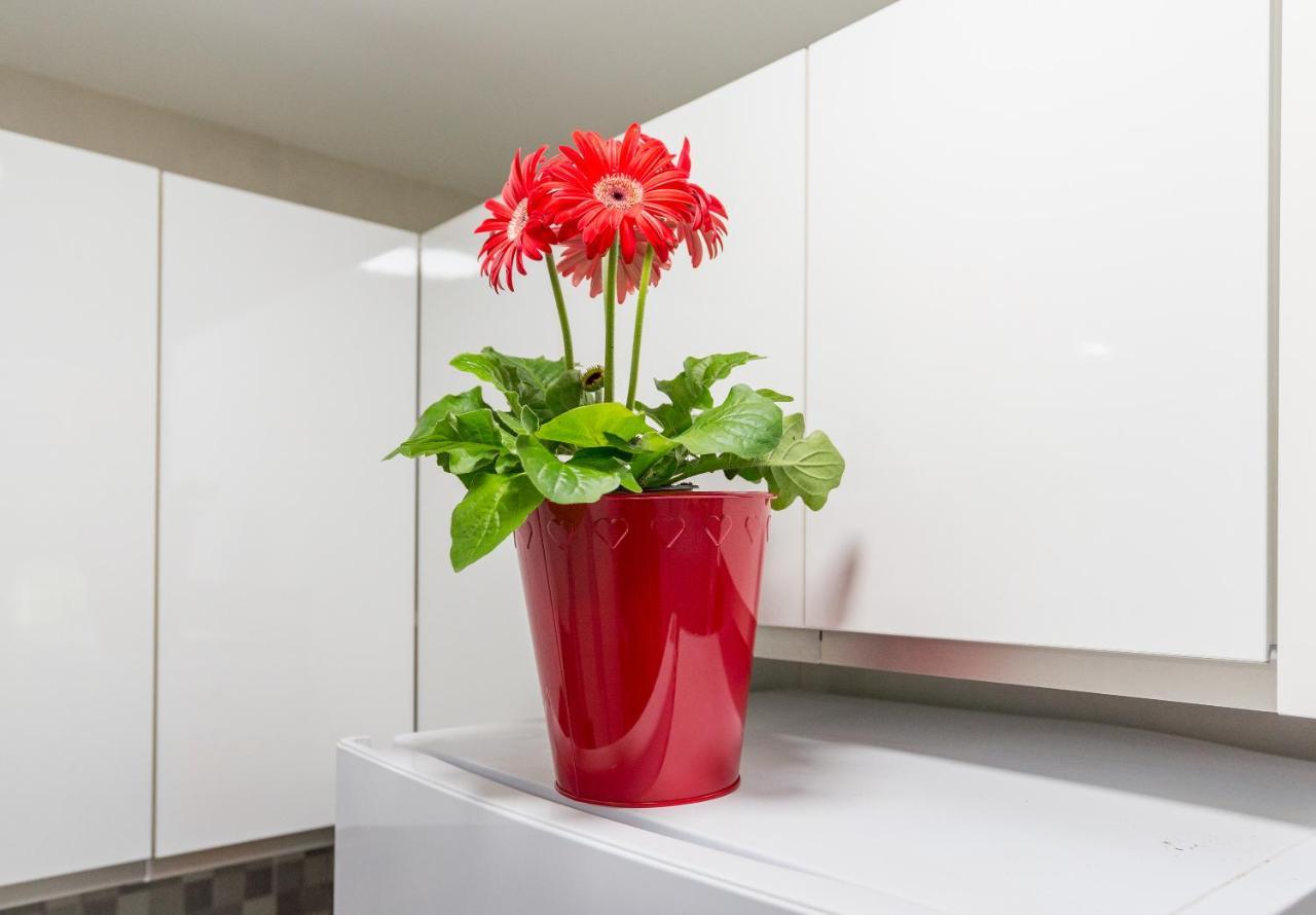 Olletas Studio Apartment *