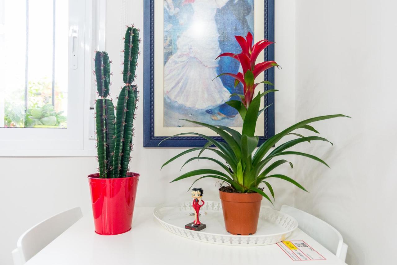 Olletas Studio Malaga
