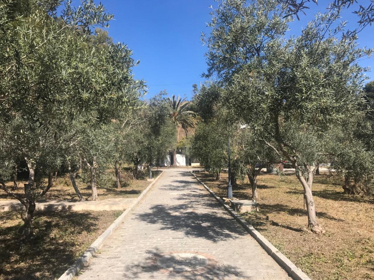 Lodge Con Encanto En Málaga