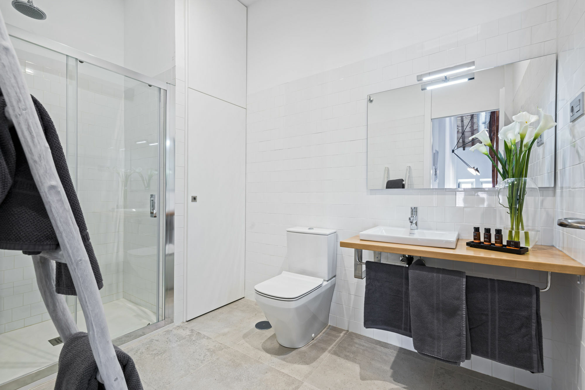 Iloftmalaga Premium Centro Historico Apartment *