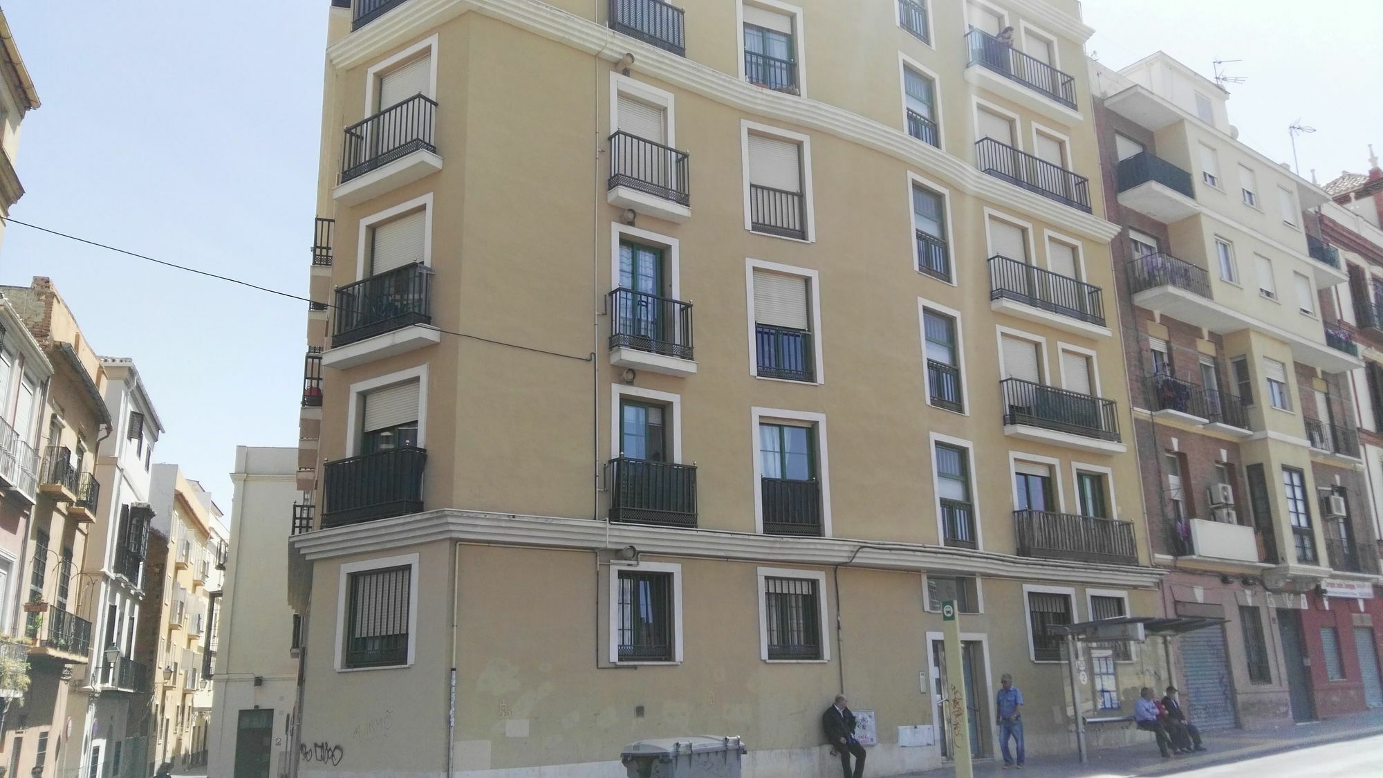 Fan Flat Rosaleda *