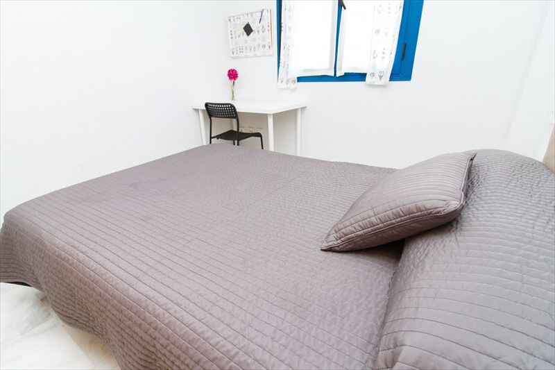 Apartment Amazing & Train Station By La Recepcion
