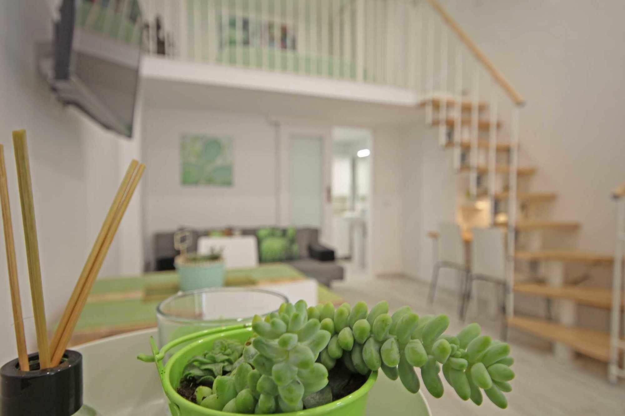 Cactus Apartment *