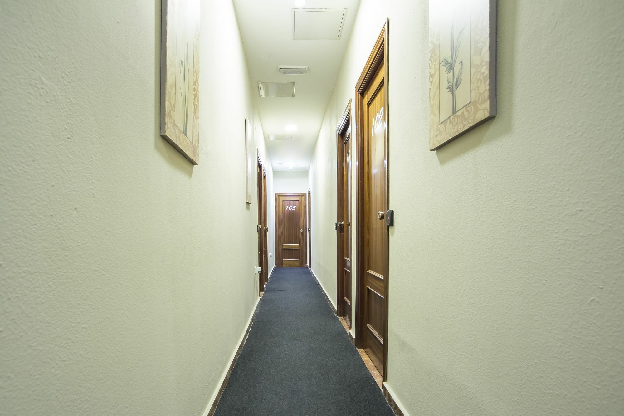Guest house Ciudad Jardin Malaga