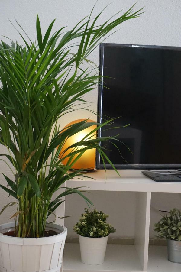 Apartamentosmalaga Apartment