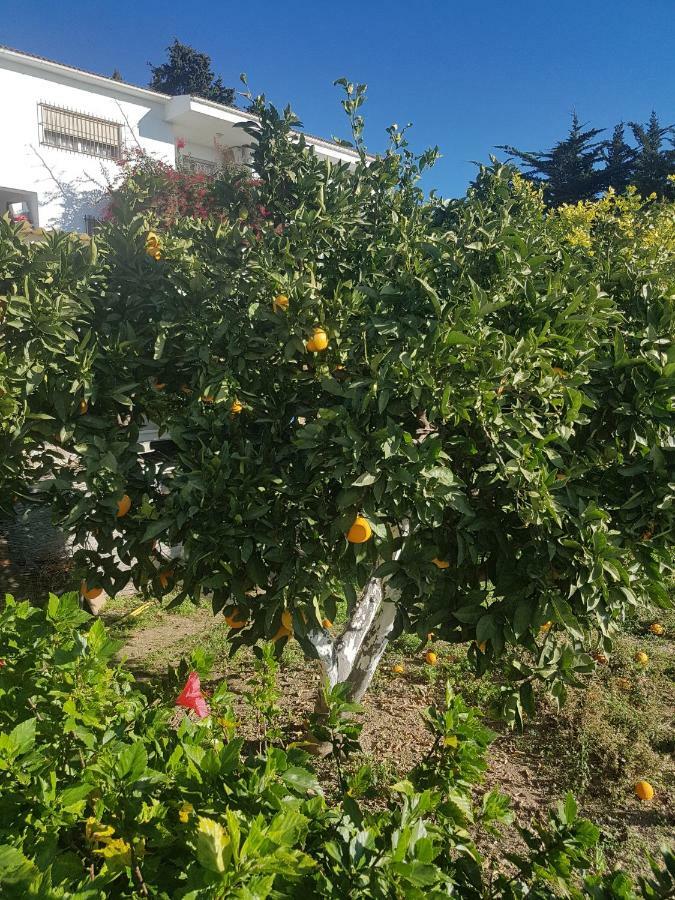 Homestay La Colina Malaga