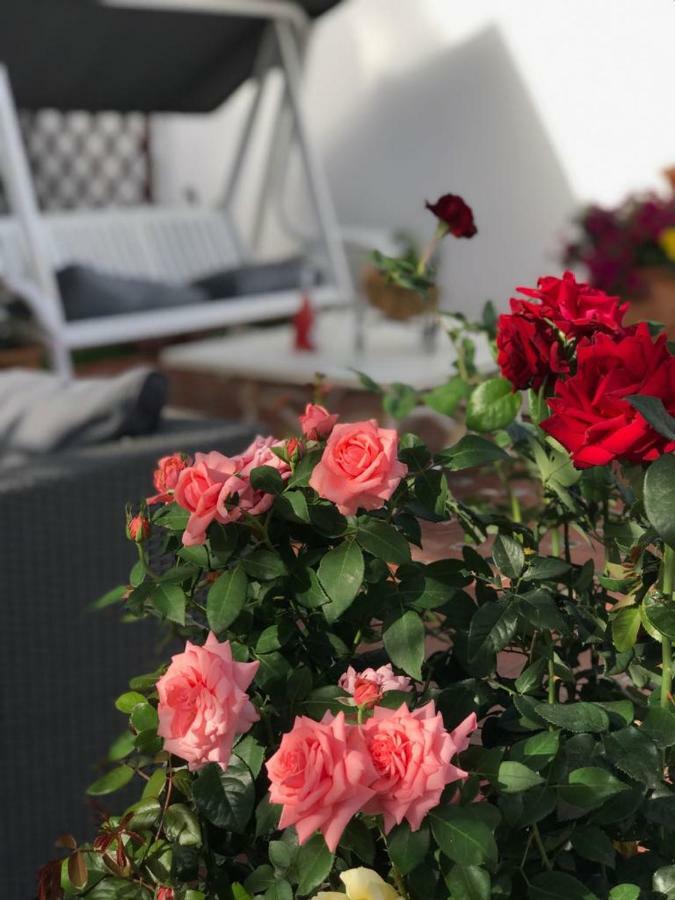 Ferienhaus Luxury Sea Home&terrace *