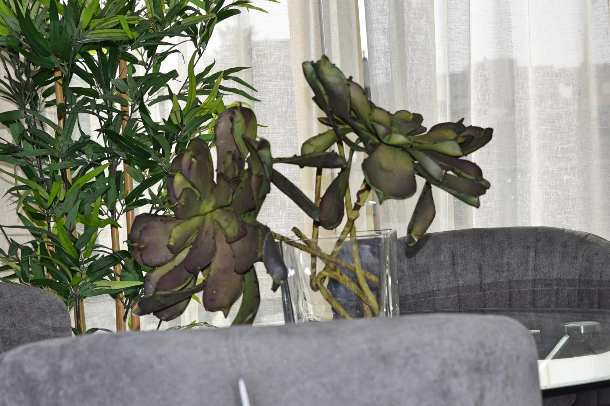Apartamento San Rafael * Malaga