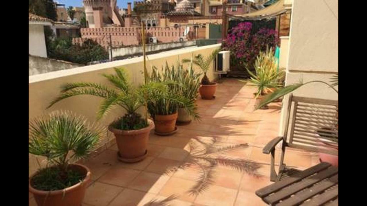 Homestay Kentia Malaga