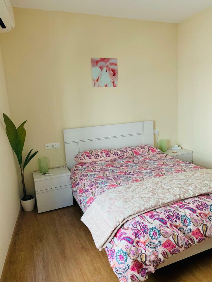 Flamingo Apartment *